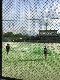 ソフトテニス静岡県大会