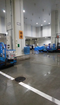 豊洲市場に行って来ました！