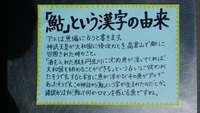 鮎のうんちくその⑤