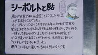 鮎のうんちくその④