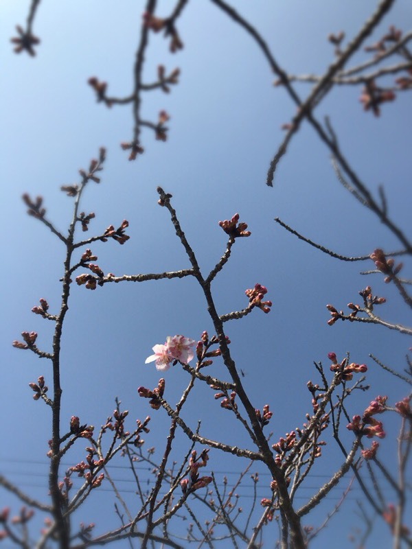 ああ。年月の流れを自分の顔で思い知った日よ ああ。年月の流れを自分の顔で思い知った日よ