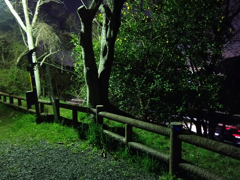 愛知県 街灯 愛知県 街灯