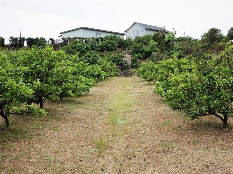水田転換園 水田転換園