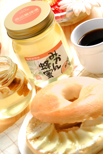 やらまいかブランド認定‼ 三ヶ日みかん蜂蜜