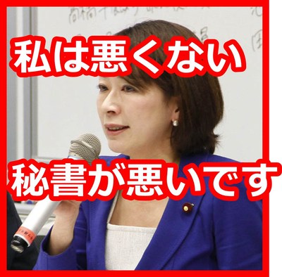 大ブーメラン! 大ブーメラン!