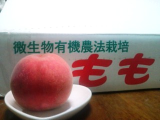 あかつき~