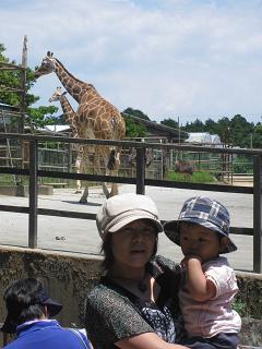浜松動物園