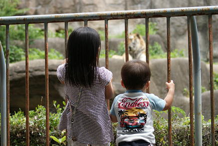 動物園とフラワーパーク