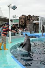 名古屋港水族館