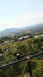 和歌山県
