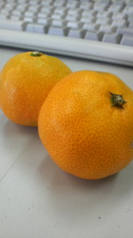 みかん