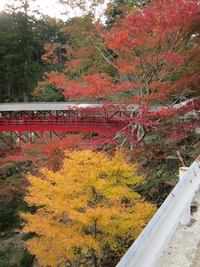 ＊山へ行こうよ・・・♡♡ 2013/11/23 14:08:39