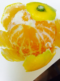 ＊＊旬の野菜を買い込む＊＊