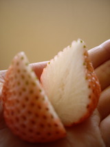 正月の食