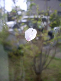 時過ぎる