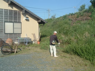 綿の種をまくよ