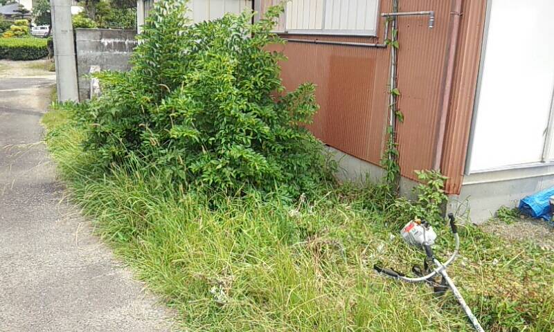 【草刈】　承ります♪