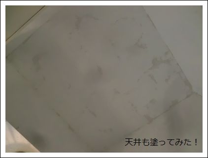 1FトイレをDIY①