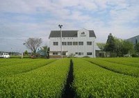 出店者様の紹介です 2016/04/18 07:56:08
