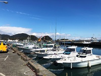 04/13　藤枝店　良い天気☀ 2019/04/13 15:28:18