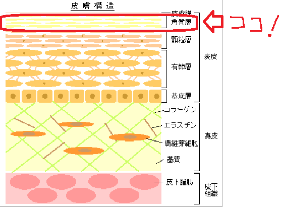 一番大切なお肌の話