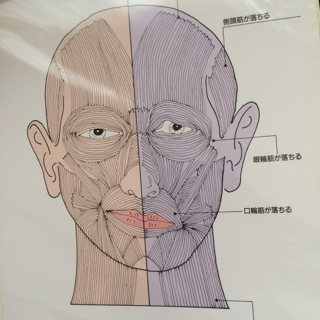 頭皮のケア「ビネガースパ」までの道のり」②