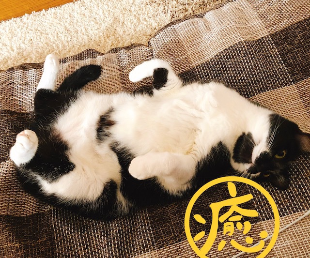 寒くなってきました☆