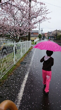 練習(雨の日ﾊﾞｰｼﾞｮﾝ) 2015/04/05 11:01:01