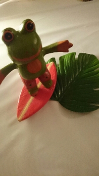 興奮の60分間(笑) 2015/08/07 21:55:30