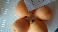 いただきます＼(^o^)／ 2015/06/14 19:21:54