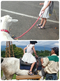 満喫★ 2015/06/28 19:08:22
