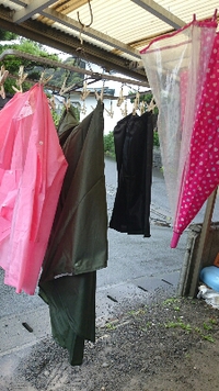 雨ザーザー(笑) 2015/07/01 16:43:30