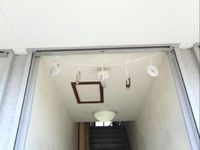 ごめんね！ツバメ君