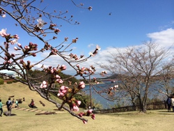 3月のご予約状況とお休み