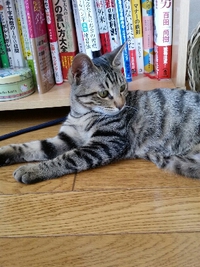 ご対面