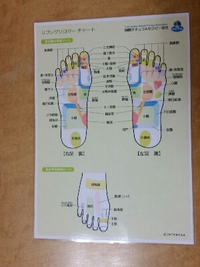 ブログ限定