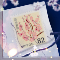 初めて届いた82円切手はウメでした☆ 2014/06/02 14:30:00