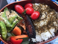 今日のお昼ごはんです。 2016/05/17 21:02:16