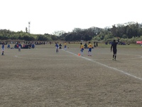 NTTカップ  決勝リーグ 2015/12/27 13:46:21