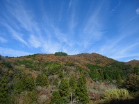 紅葉の里へ
