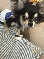 Mizuki