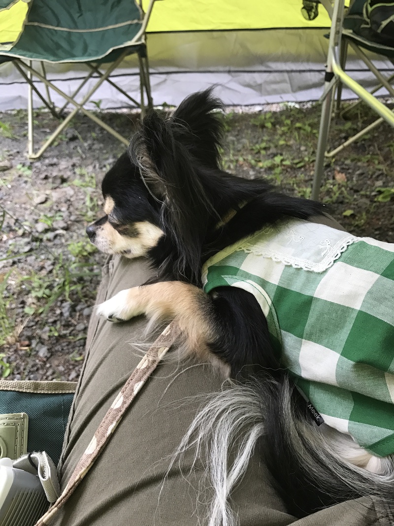 犬連れデイキャンプ@春野