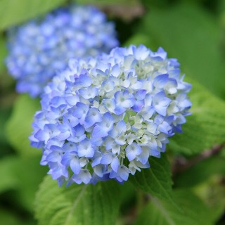 雨のラッキーデー♫