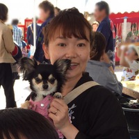 浜松まつり 昼間も祭り気分満開！ 2016/05/04 16:52:01
