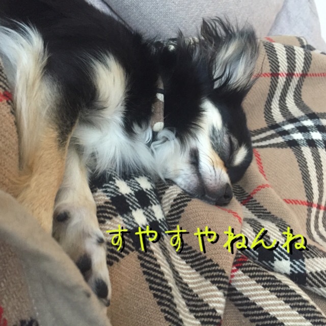 【天使の寝顔♡】