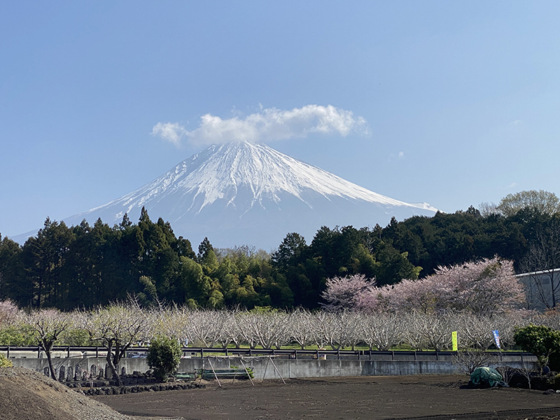 今日の富士チャン！