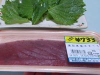 本まぐろ