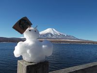 きれい！