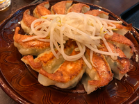 今日は・・・