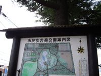 *松本クラフト*